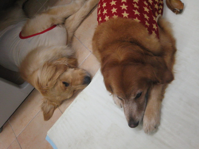 ファイル 297-4.jpg