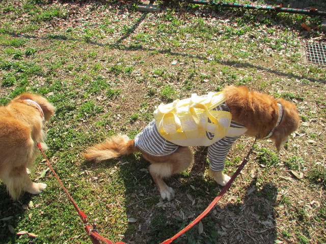 ファイル 2972-1.jpg