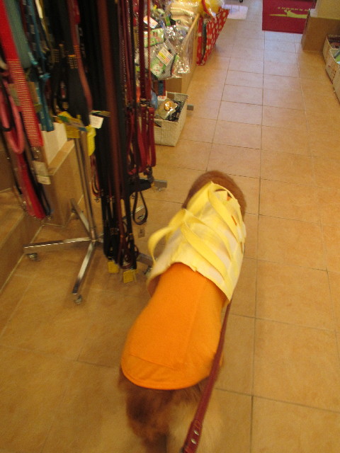 ファイル 2972-2.jpg