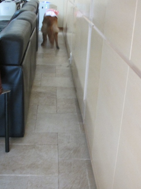 ファイル 2972-4.jpg