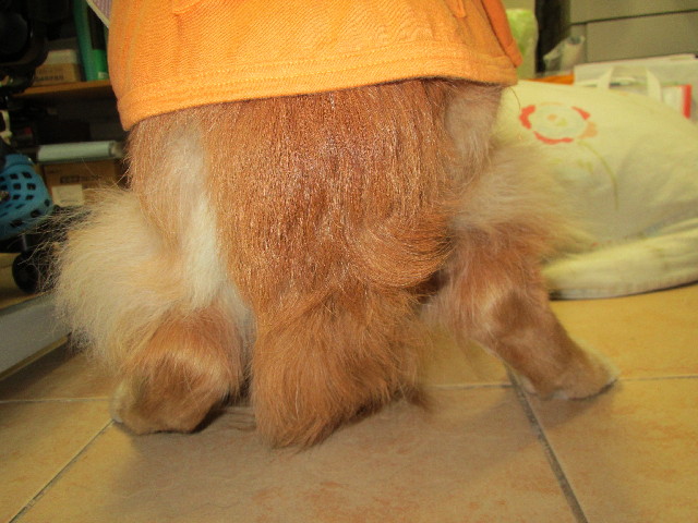 ファイル 2972-5.jpg