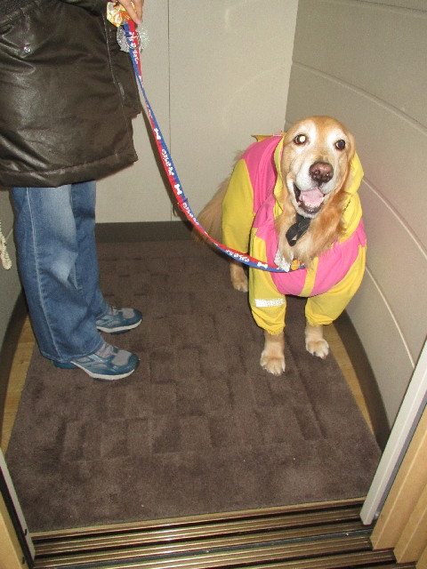 ファイル 2974-1.jpg