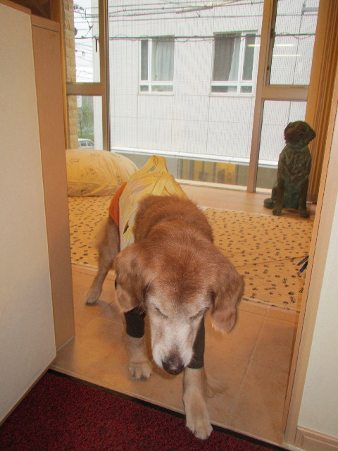 ファイル 2974-2.jpg