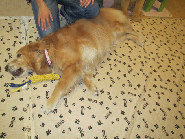 ファイル 2974-3.jpg