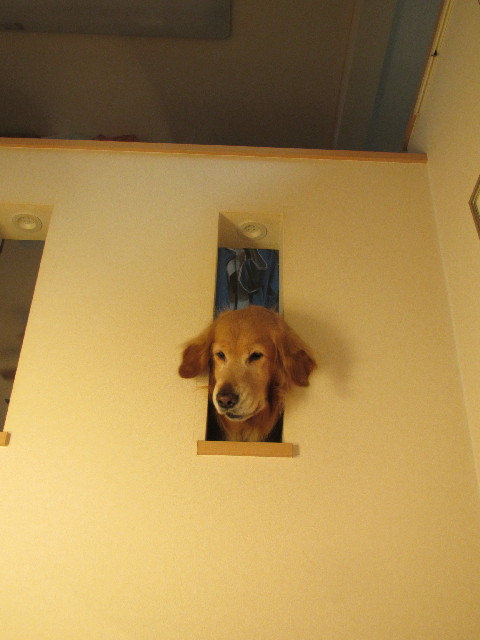 ファイル 2974-5.jpg