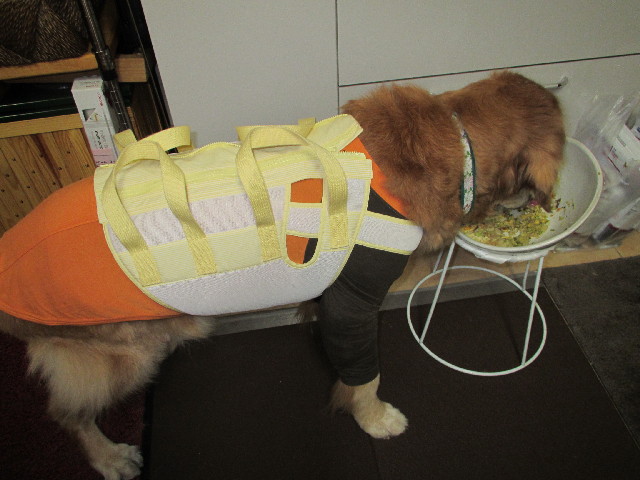 ファイル 2977-2.jpg