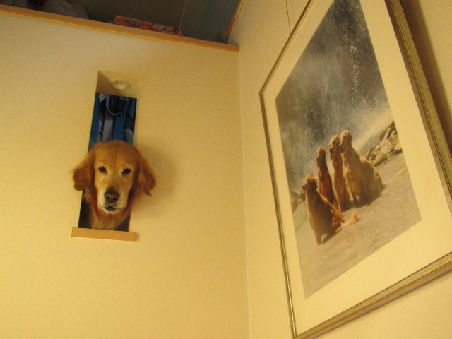 ファイル 2978-5.jpg