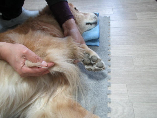 ファイル 2982-1.jpg