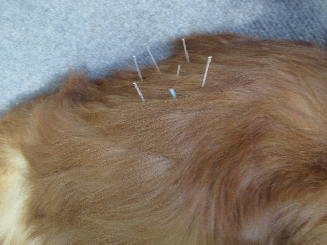 ファイル 2982-4.jpg