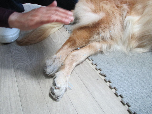 ファイル 2982-5.jpg