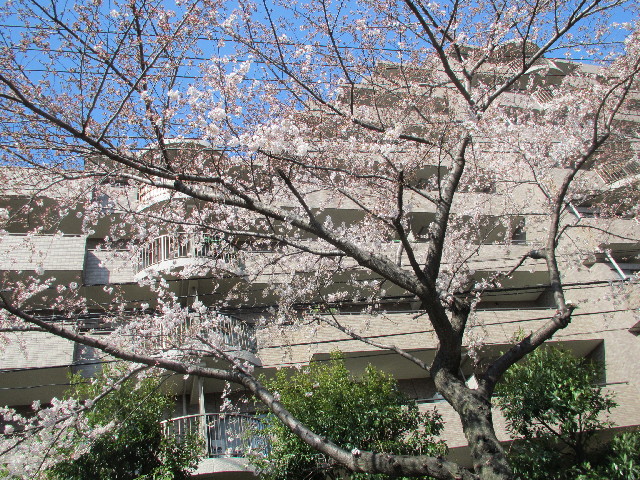 ファイル 2983-2.jpg