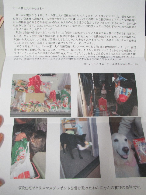 ファイル 2984-1.jpg