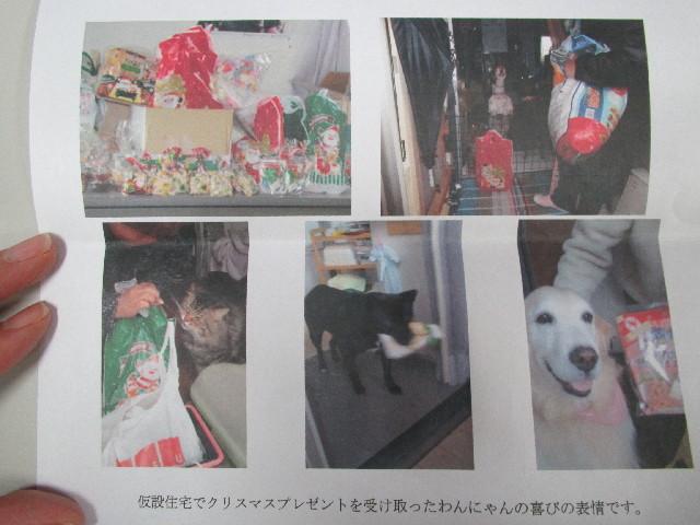 ファイル 2984-2.jpg