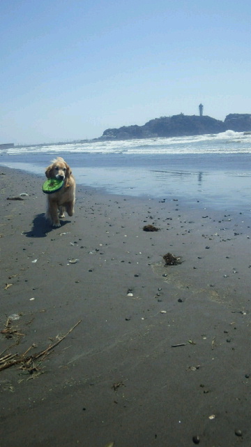 ファイル 2988-1.jpg