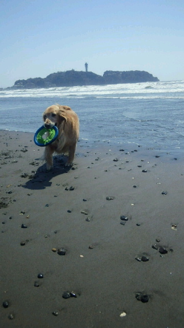 ファイル 2988-2.jpg