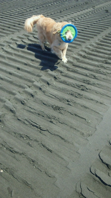 ファイル 2988-3.jpg