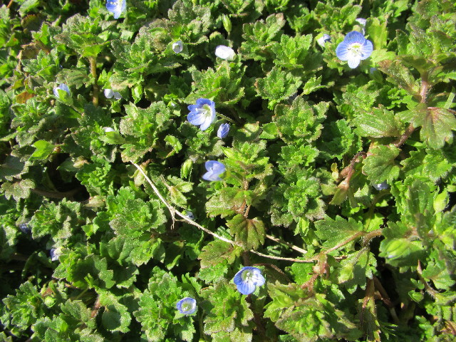 ファイル 2988-5.jpg