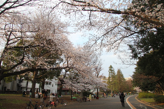 ファイル 2989-1.jpg