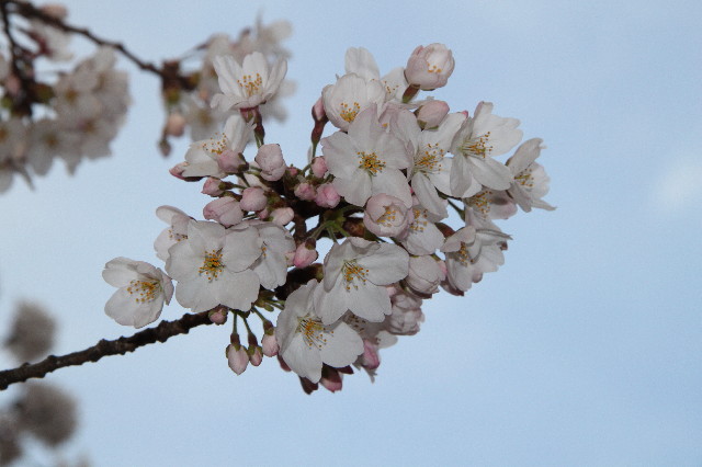 ファイル 2989-2.jpg