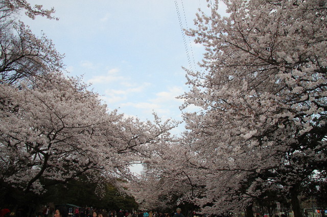 ファイル 2989-3.jpg