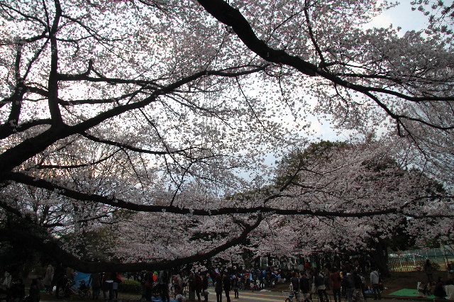 ファイル 2989-4.jpg