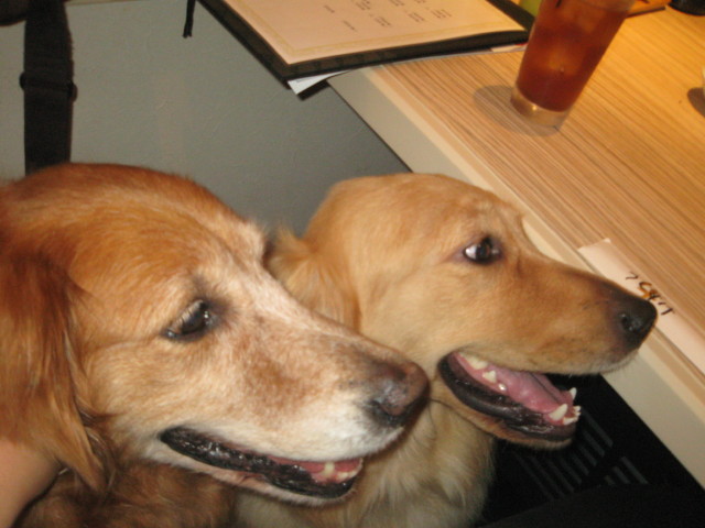 ファイル 299-1.jpg