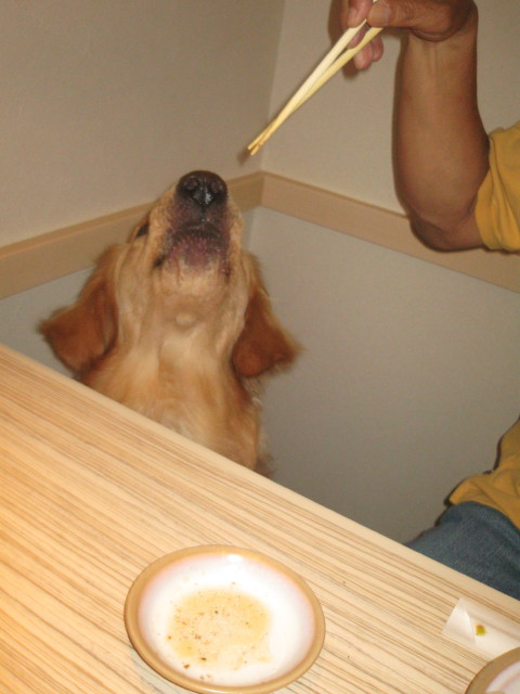 ファイル 299-4.jpg