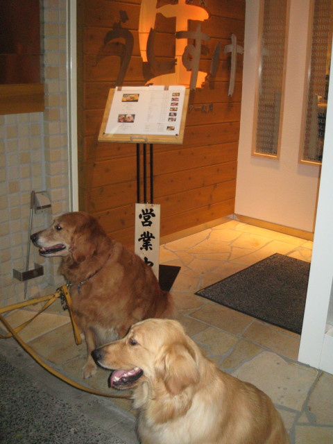 ファイル 299-5.jpg