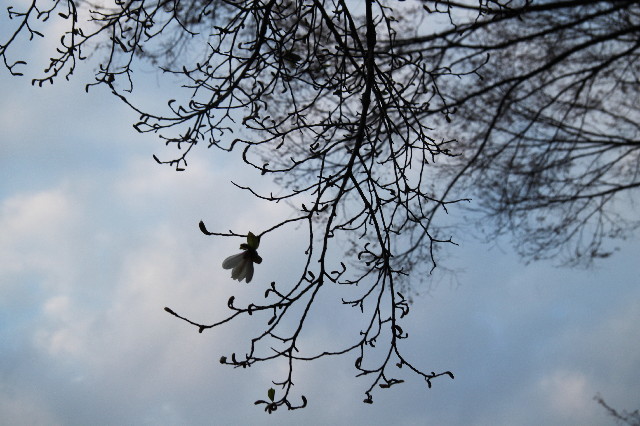 ファイル 2991-2.jpg