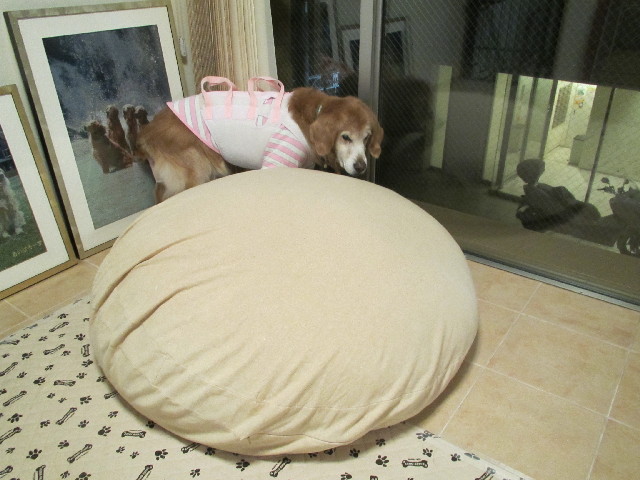 ファイル 2996-4.jpg