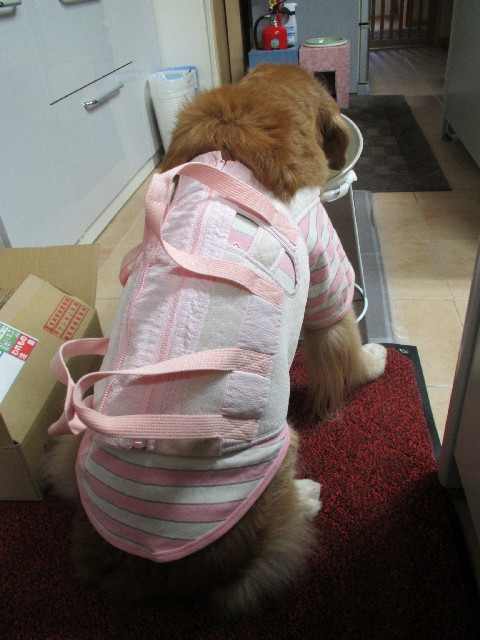 ファイル 2996-5.jpg