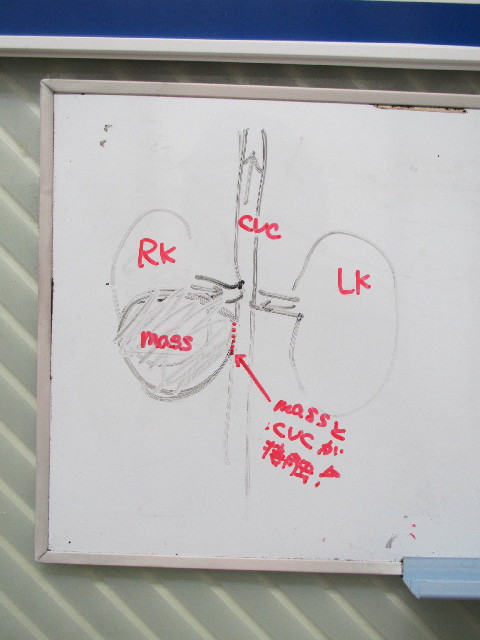 ファイル 2998-2.jpg