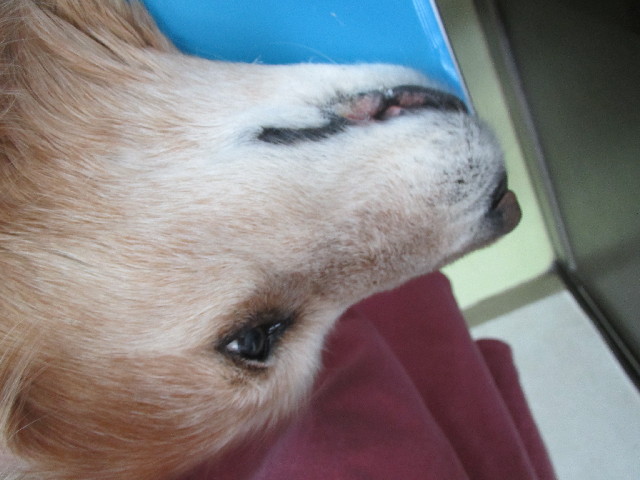 ファイル 2998-3.jpg