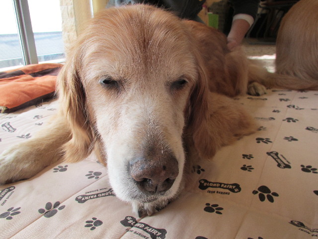 ファイル 2999-2.jpg