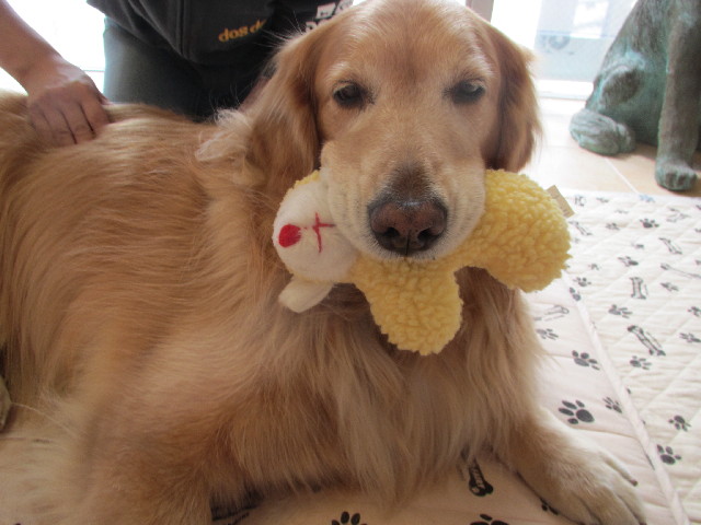 ファイル 2999-3.jpg