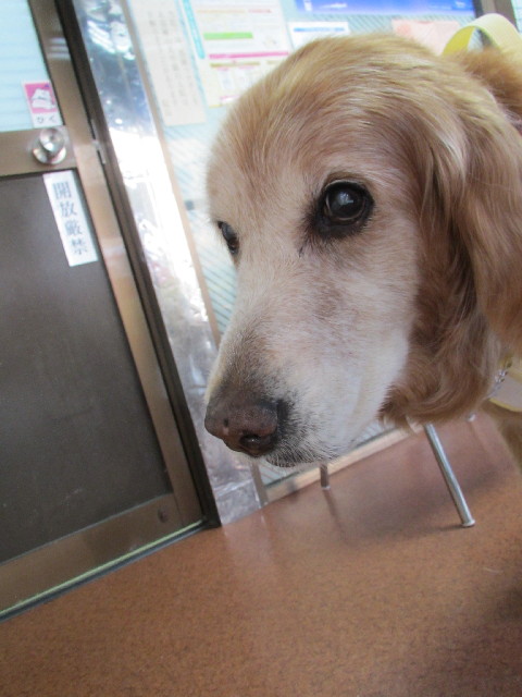 ファイル 2999-4.jpg