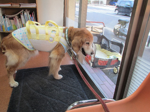 ファイル 2999-5.jpg