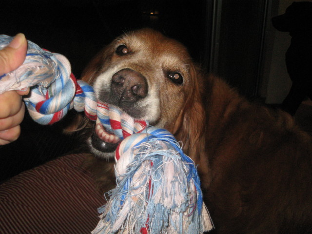 ファイル 301-4.jpg