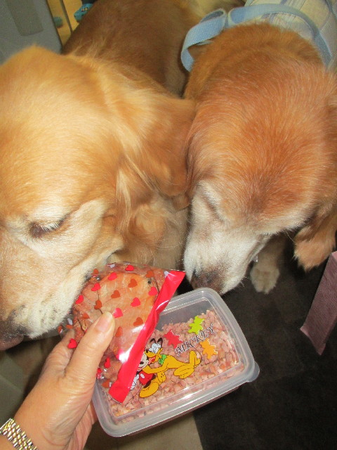 ファイル 3029-1.jpg