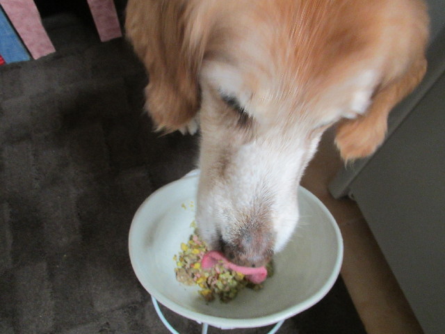 ファイル 3029-2.jpg