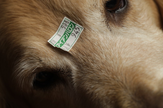 ファイル 3029-5.jpg