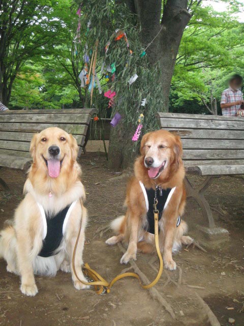 ファイル 303-1.jpg