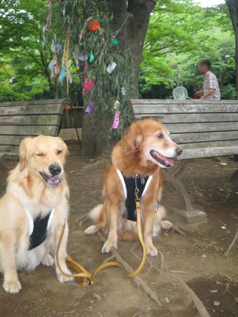 ファイル 303-2.jpg