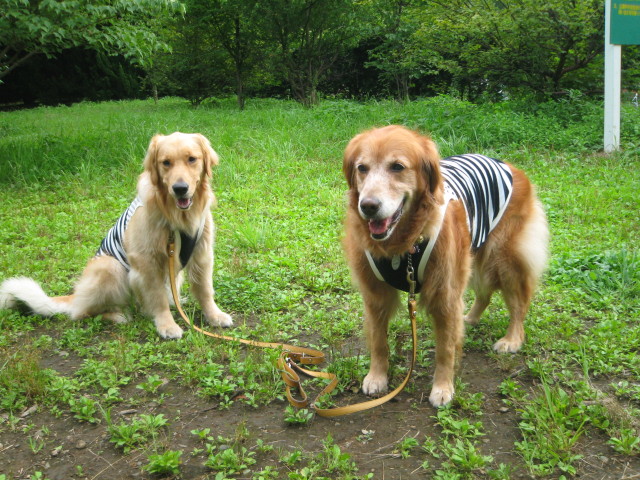 ファイル 303-3.jpg