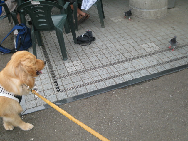 ファイル 303-4.jpg