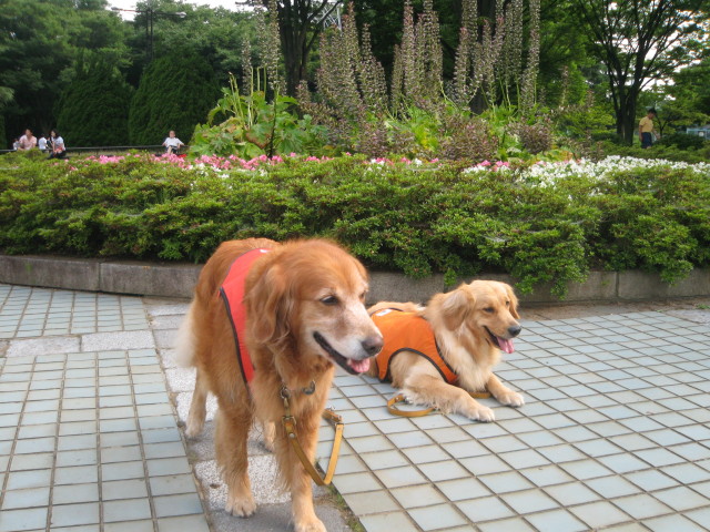 ファイル 304-1.jpg