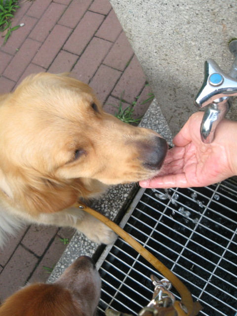 ファイル 304-2.jpg