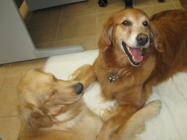 ファイル 304-3.jpg