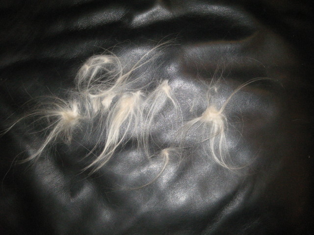 ファイル 304-4.jpg