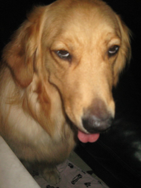 ファイル 304-5.jpg